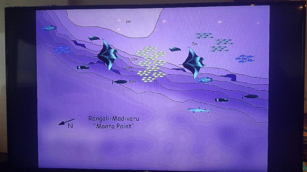 펀다이빙 - Maldives - Rangali Mandivaru
