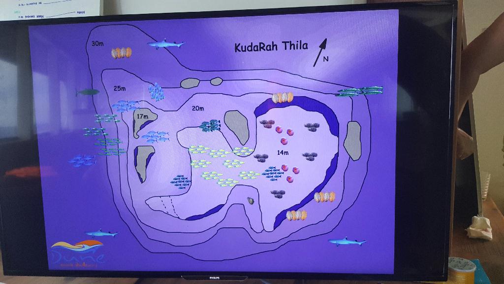 펀다이빙 - Maldives - Kudarah thila