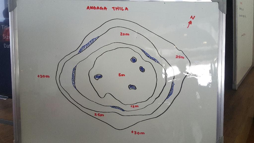 펀다이빙 - Maldives - Angaga thila