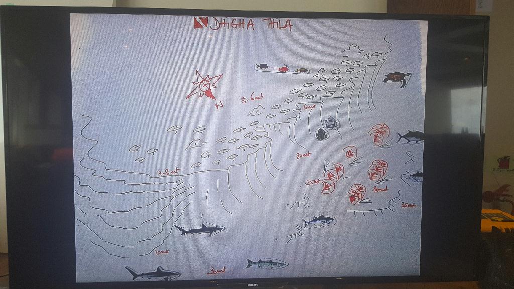 펀다이빙 - Maldives - Dhiga thila