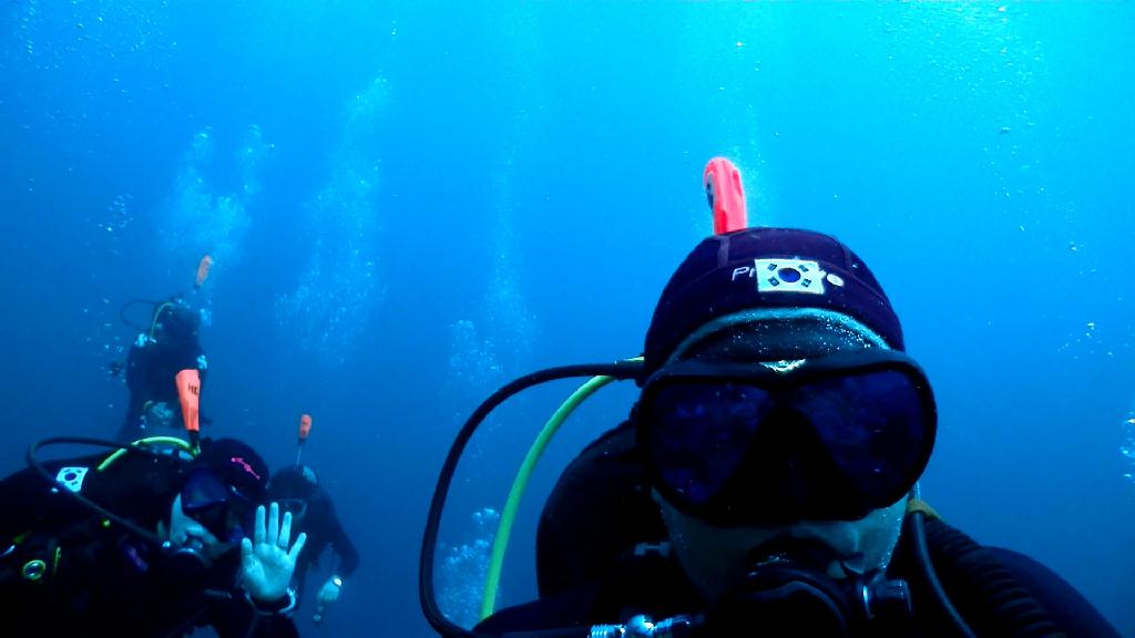 베르데 조류 즐기기 - Sabang Blue Water Dive Resort - Verde wall