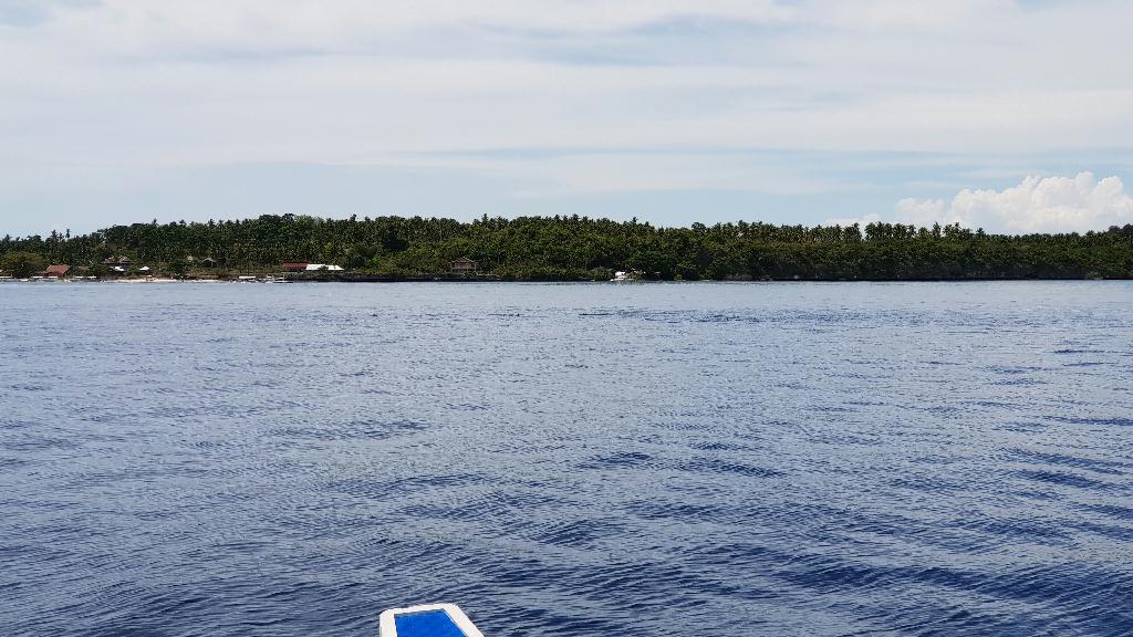 버디:박명진/박수용/오채윤외2명 - Pamilacan Island in BOHOL - DAKIT POINT