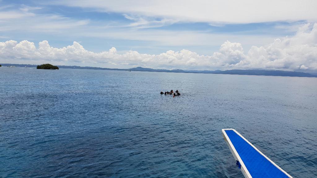 버디:박명진/박수용/오채윤외2명 - Pamilacan Island in BOHOL - ARCO POINT