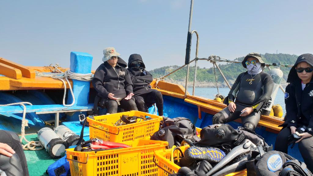 추자도 다이빙 투어 - 추자도 골드피쉬 다이브 리조트 - 직구도 남쪽 