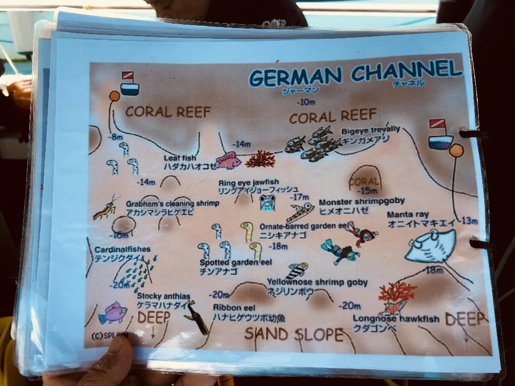 펀다이빙 - 팔라우 - German Channel