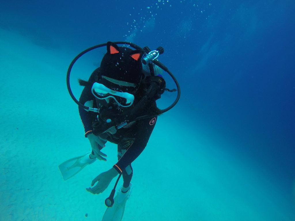 사이판 - 파이프