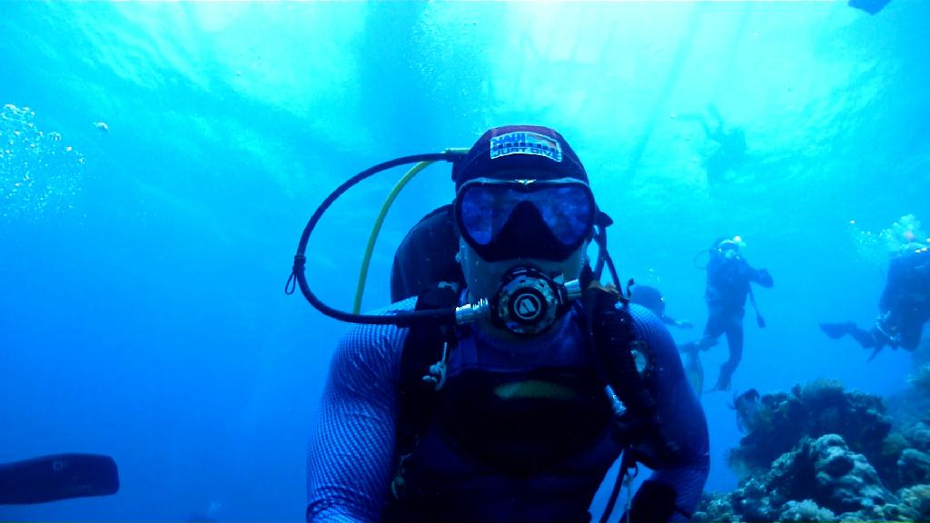 Nalusuan 포인트 - Cebu CNC Dive Resort - Nalusuan 산호