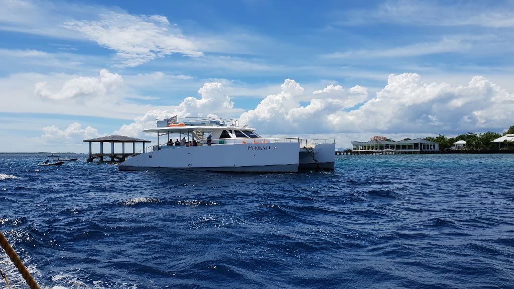 Hilotoan 두번째 다이빙 - Cebu CNC Dive Resort  - Hilutungan - 2