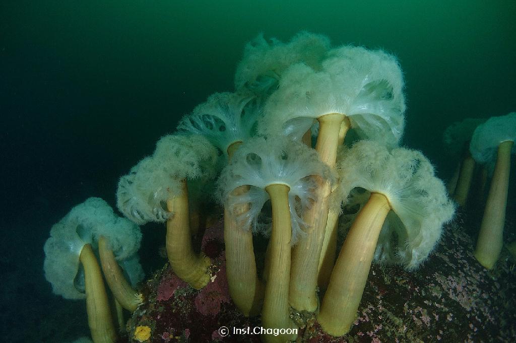 펀 다이빙 - 양양 인투더씨 - 대구 포인트