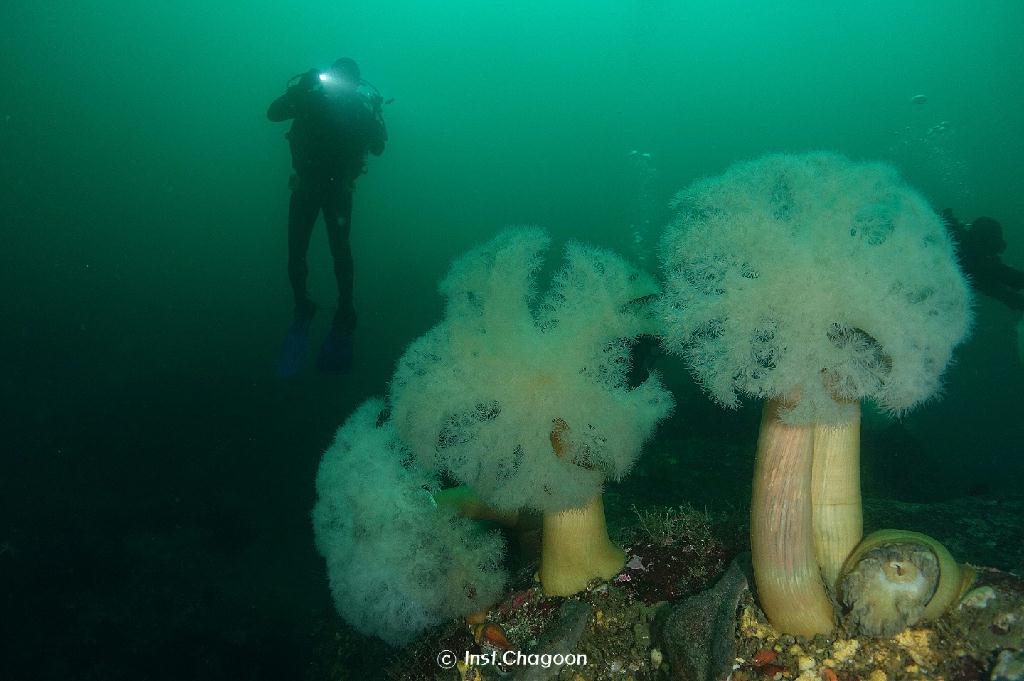 펀 다이빙 - 양양 인투더씨 - 대구 포인트