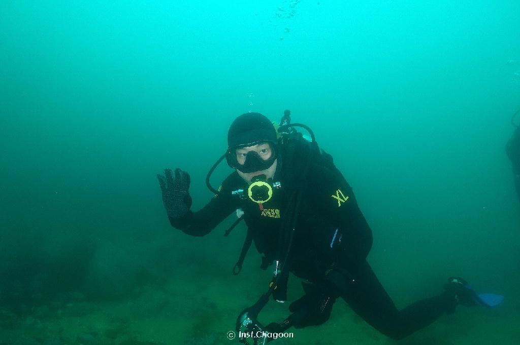 펀 다이빙 - 양양 인투더씨 - 대구 포인트