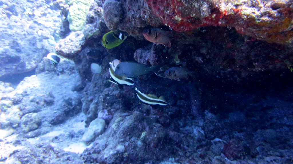 Saipan - Naftan Point