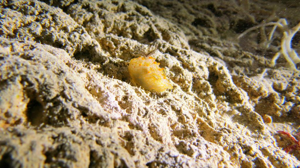 藍洞 - Saipan  - Grotto