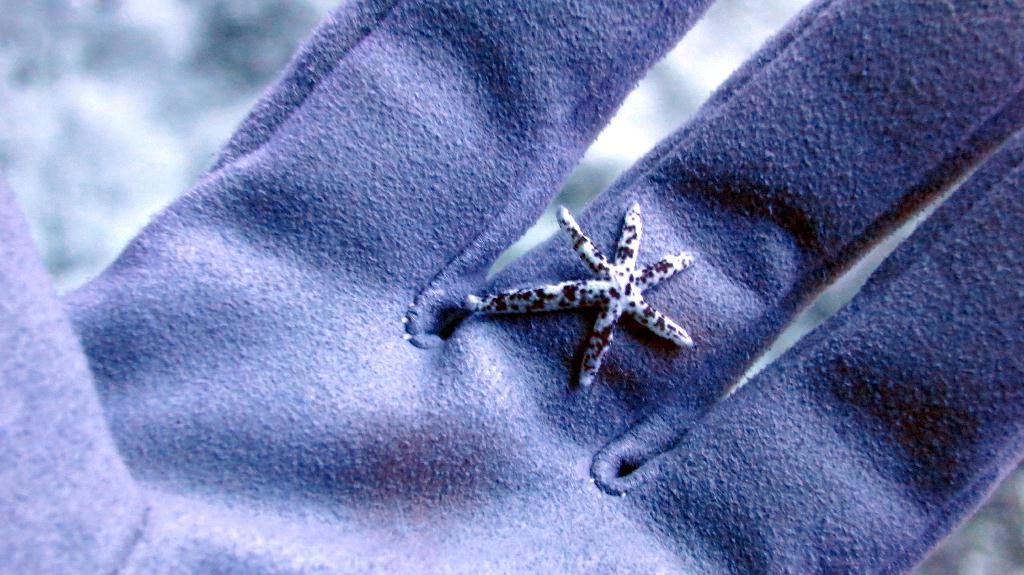 藍洞 - Saipan  - Grotto