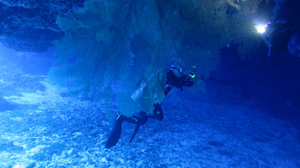 藍洞 - Saipan  - Grotto