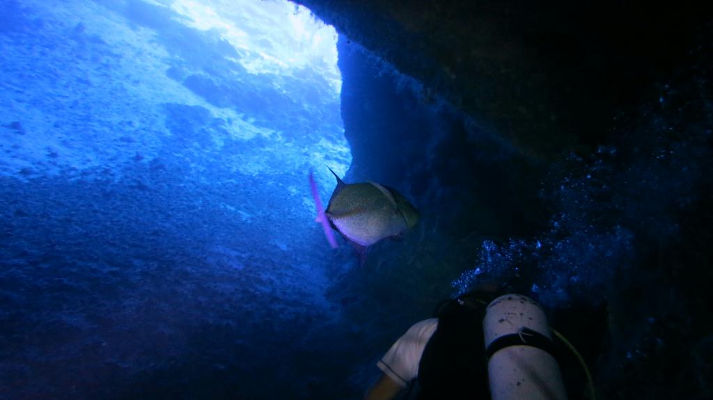 藍洞 - Saipan  - Grotto