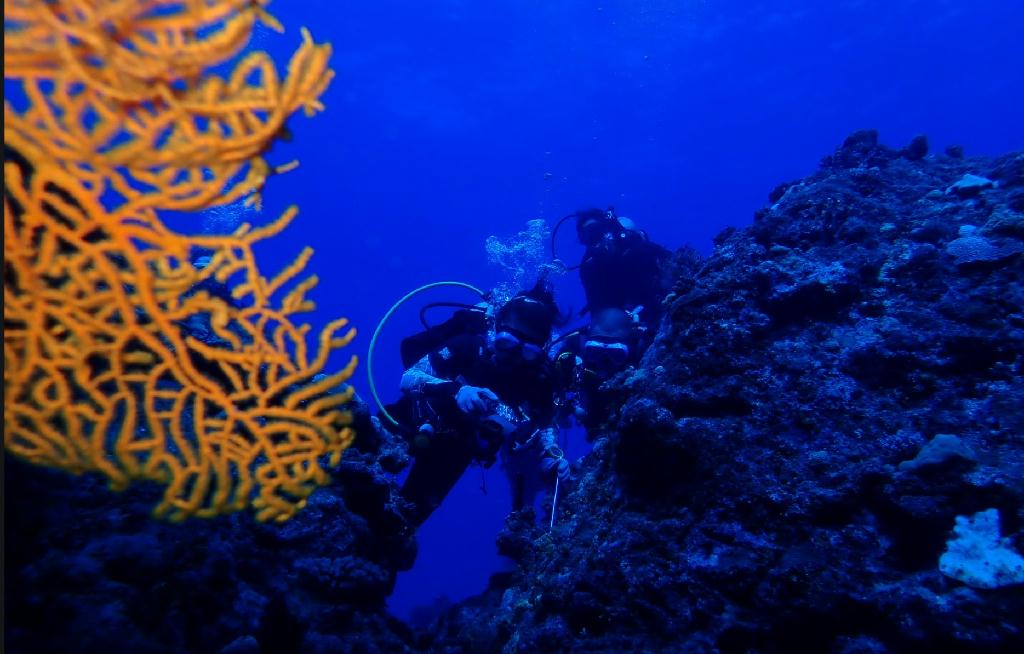 藍洞 - Saipan  - Grotto