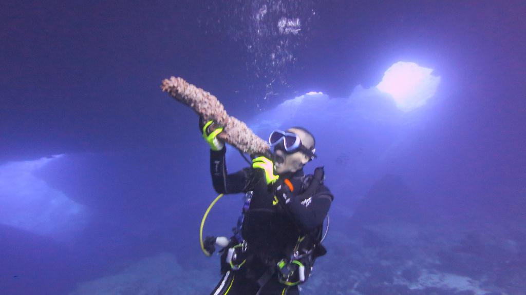 藍洞 - Saipan  - Grotto