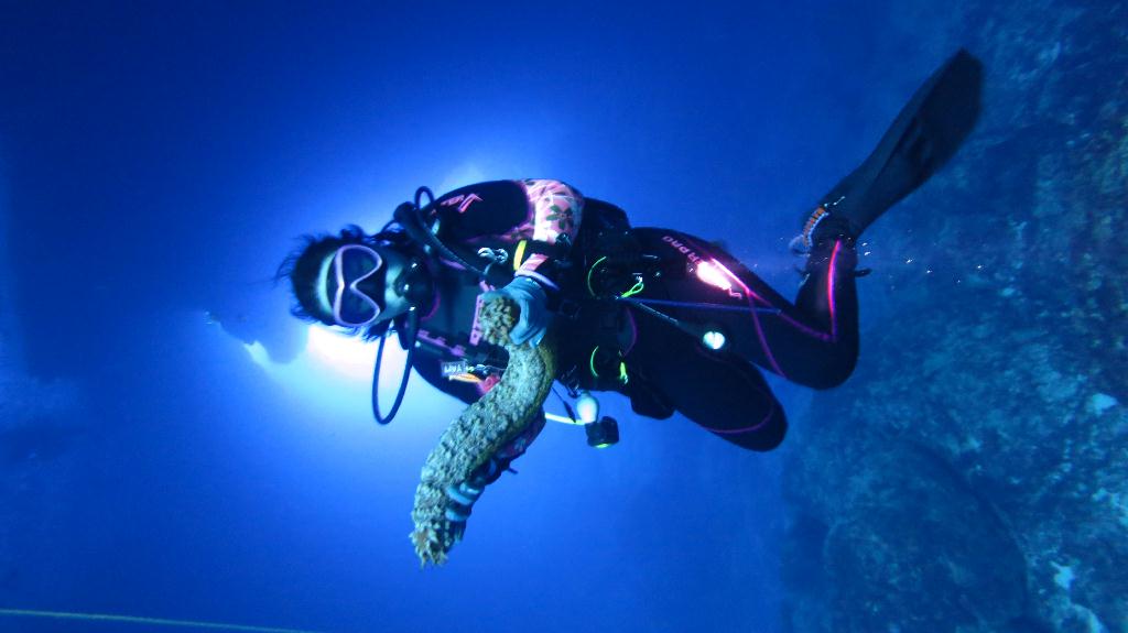 藍洞 - Saipan  - Grotto