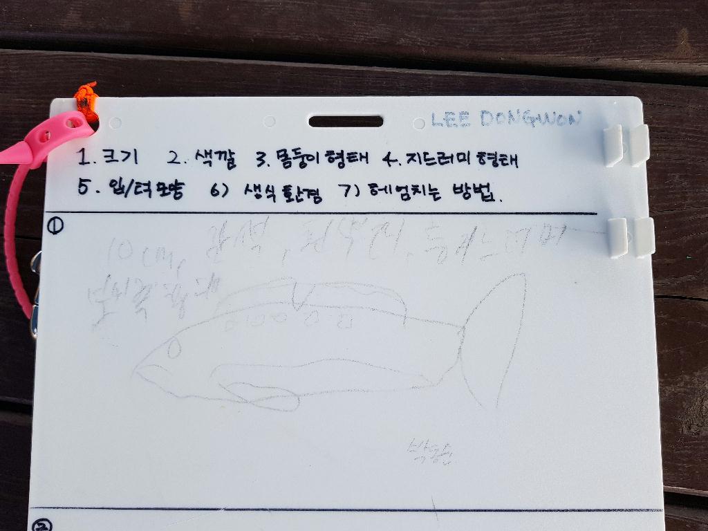 어드밴스 교육 - 고성,ok다이브 - 노량진