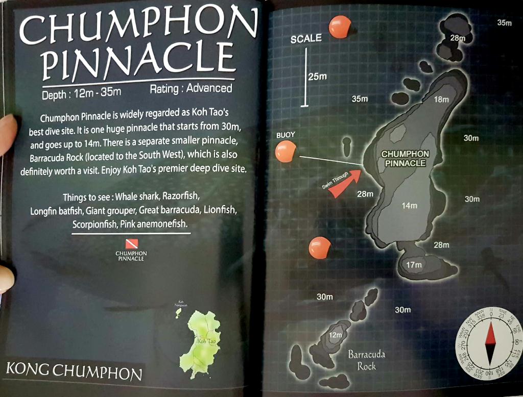 fun - KOH TAO in 태국_AsiaDivers - Chumphon Pinnacle
