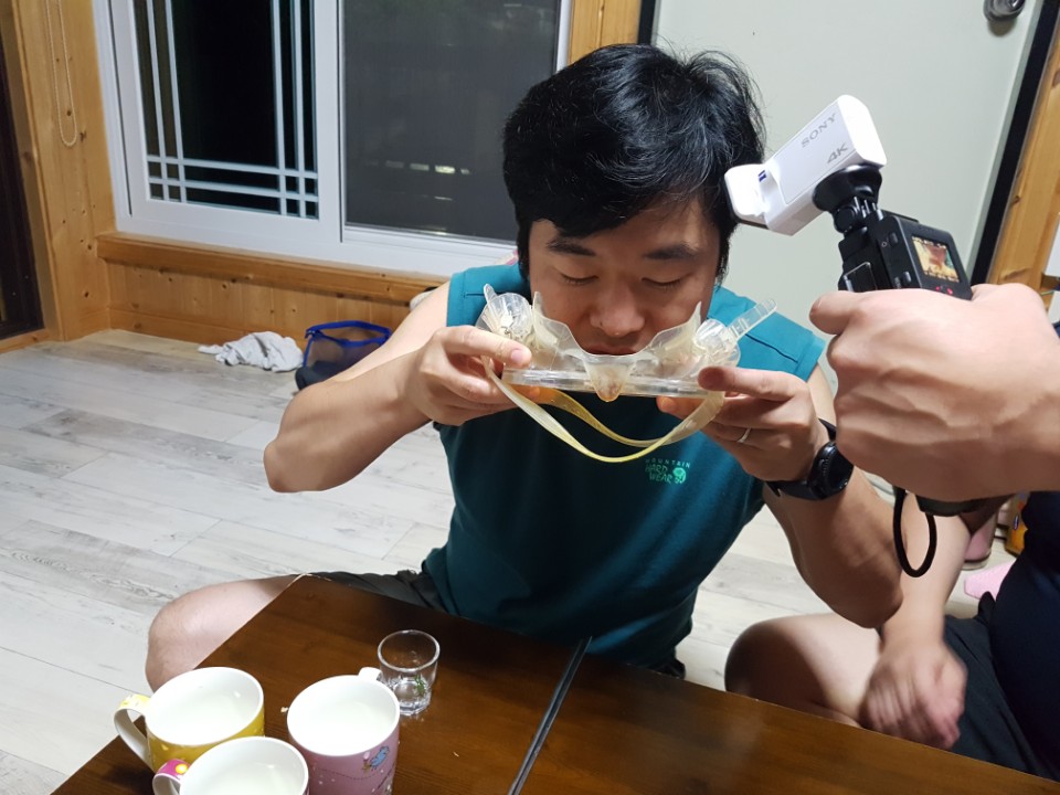 오픈워터 첫 다이빙 - 울릉도 북면 - 추산 방파제