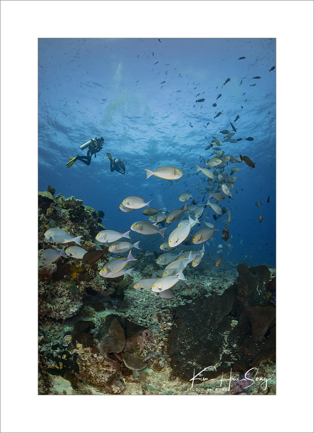 Komodo, Indonesia - Castle Rock