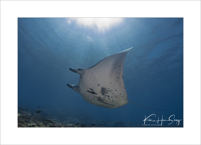 Komodo, Indonesia - Cauldron