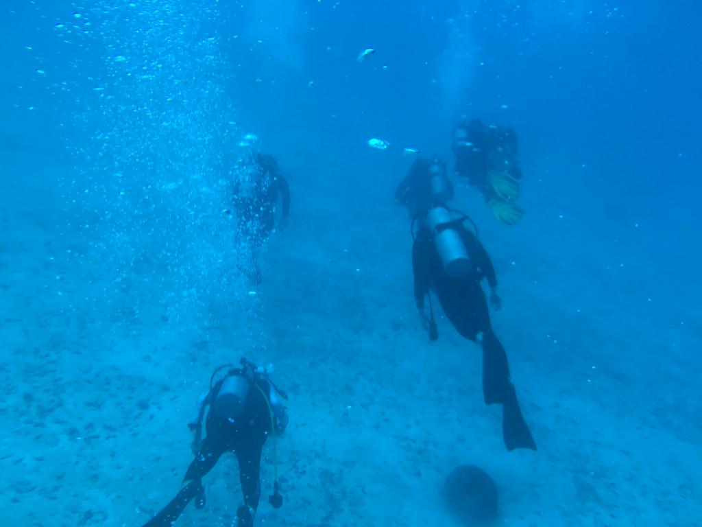 fun - 팔라우 - 블루코너