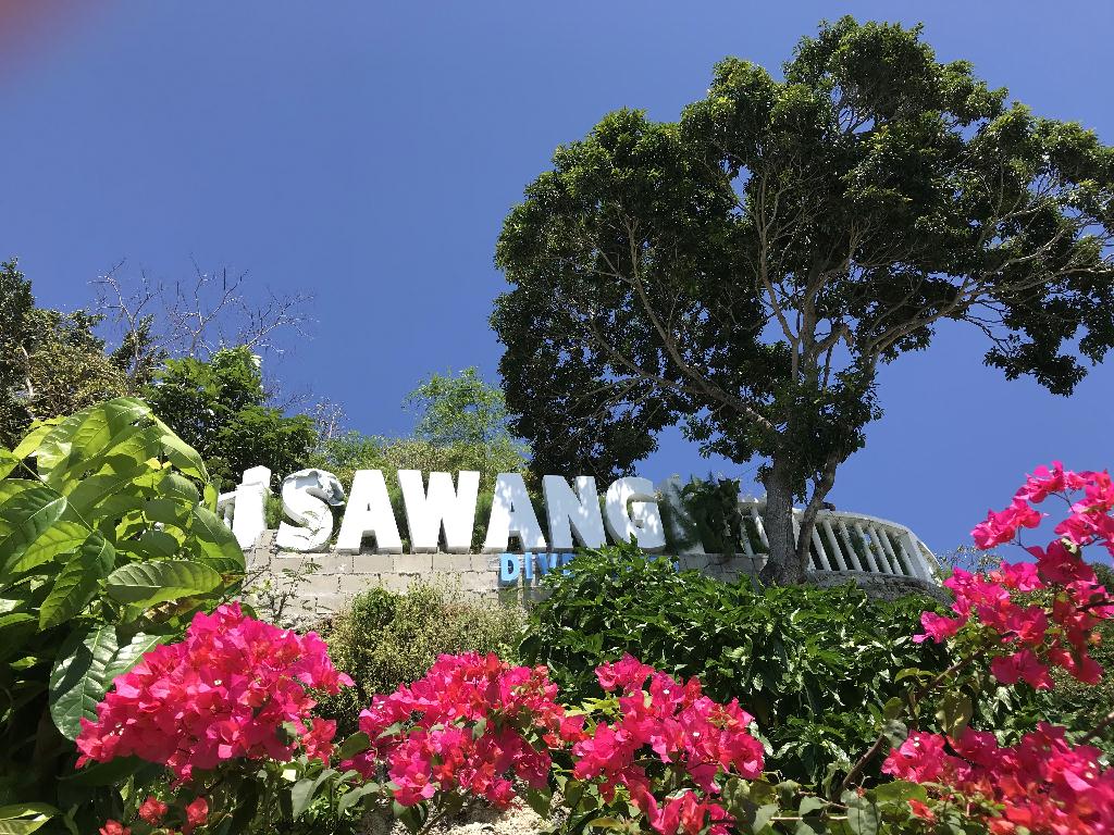 外岛踩流 - sabang  - verde island 