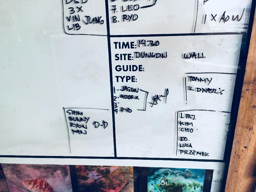 SABANG BEACH(PHILIPPINE) - DUNGON WALL