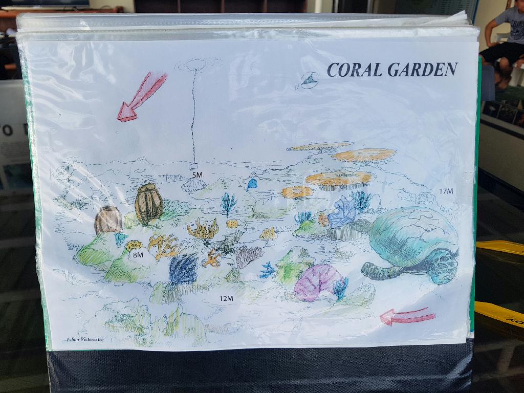 서서가지 않기 - 아닐라오 필리핀  - Coral Garden