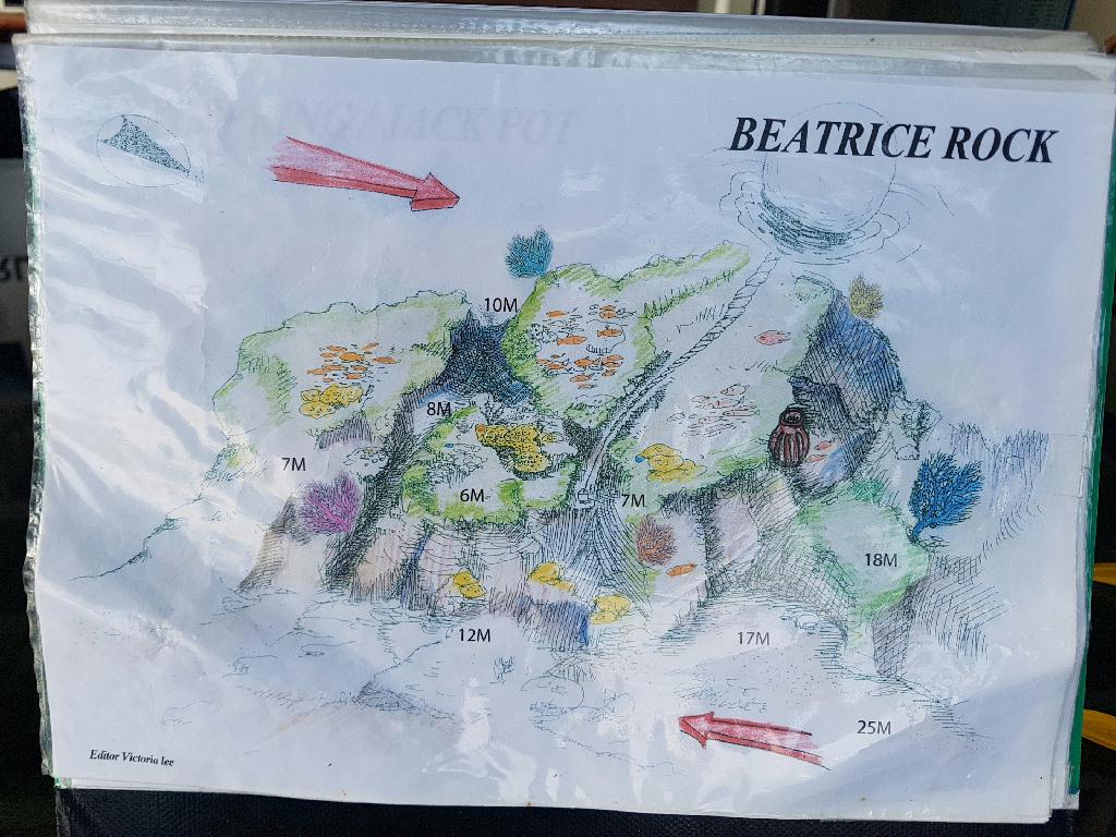 자신의 영역을 지키고 중성부력 찾기 - 아닐라오 필리핀  - Beatrice Rock