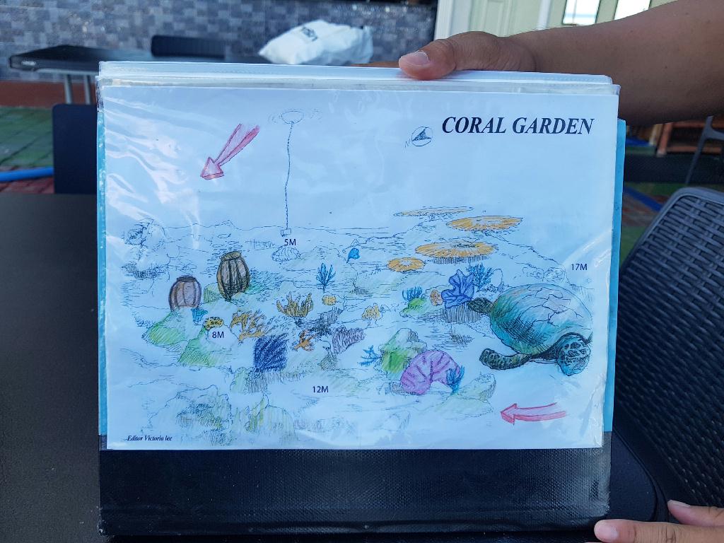 산호 안 다치게 약간 떠서 가기 - 아닐라오 필리핀  - Coral Garden