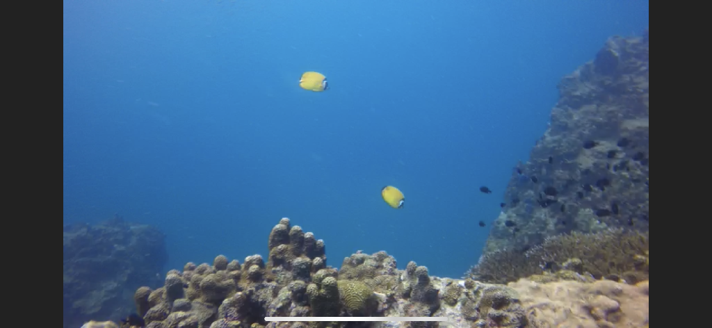 Koh Tao - Green rock