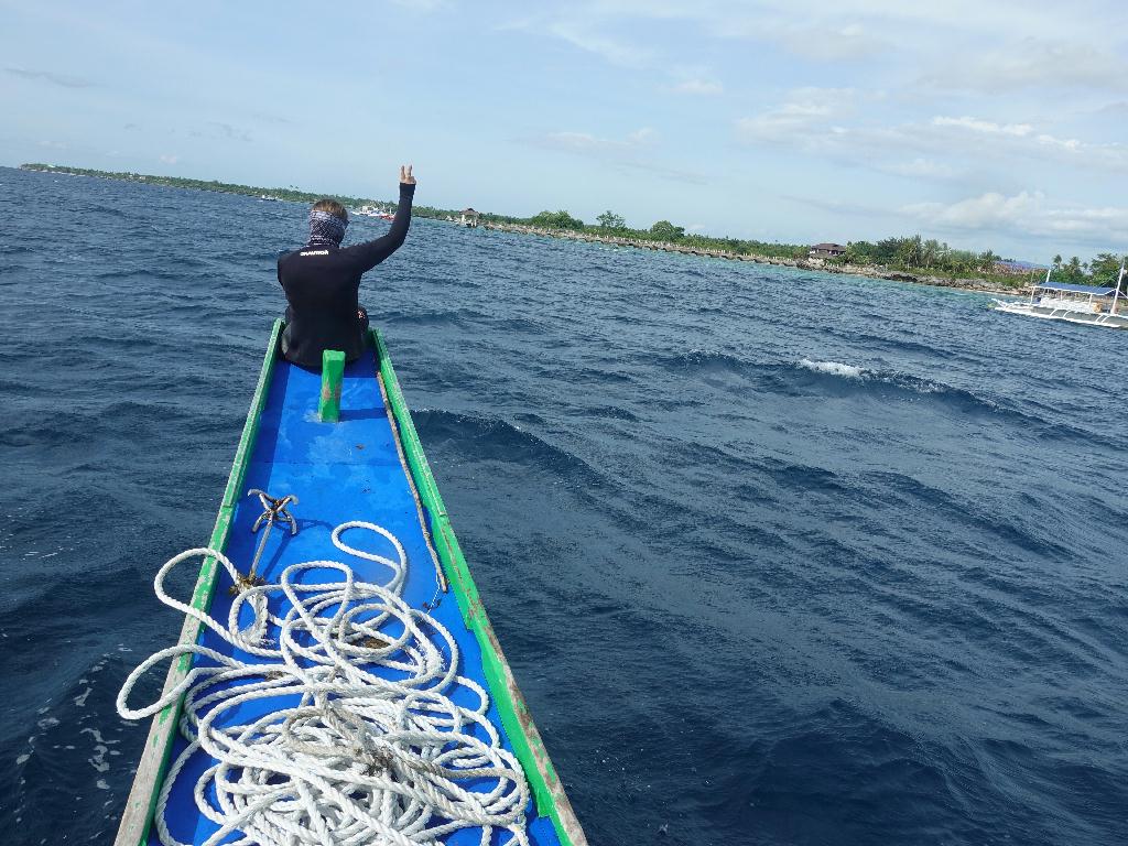 세브 모알보알[라이언다이브] - TONGO