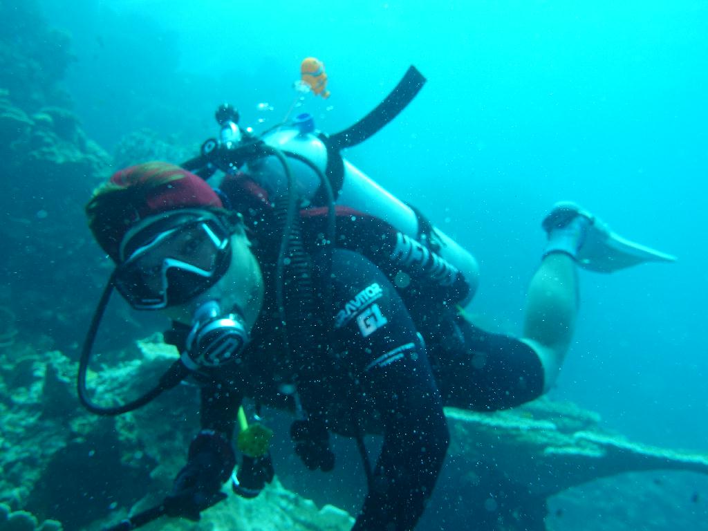 세브 모알보알[라이언다이브] - TONGO