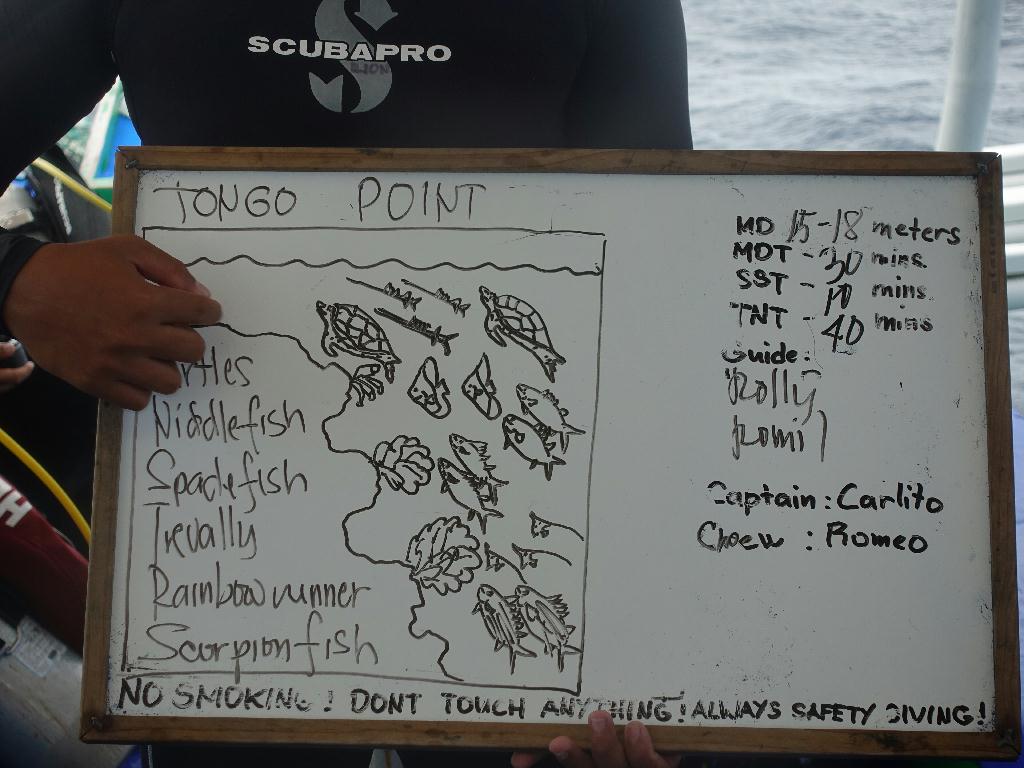 세브 모알보알[라이언다이브] - TONGO