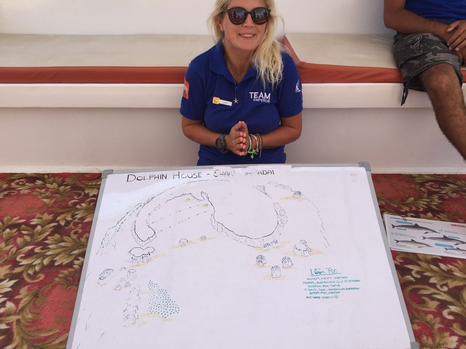 사이드마운트 싱글 펀 - 후루가다_Emperor - Dolphin House_Shaab Damadai