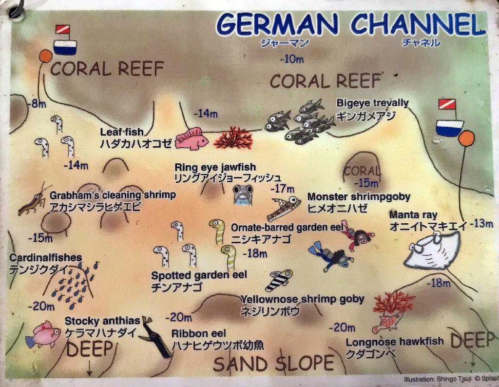만다라보기 - 팔라우  - #29 GERMAN CHANNEL