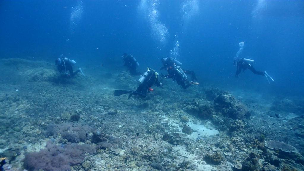아닐라오 다이빙투어 - Anilao Kingkong Dive Resort - Sombrero Island