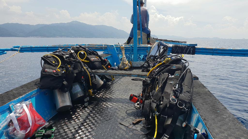 아닐라오 다이빙투어 - Anilao Kingkong Dive Resort - Dive & Trek