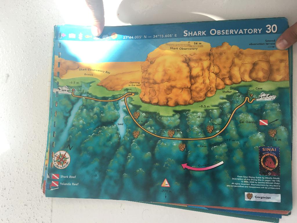sharm el sheikh - Eel garden&shark observatory