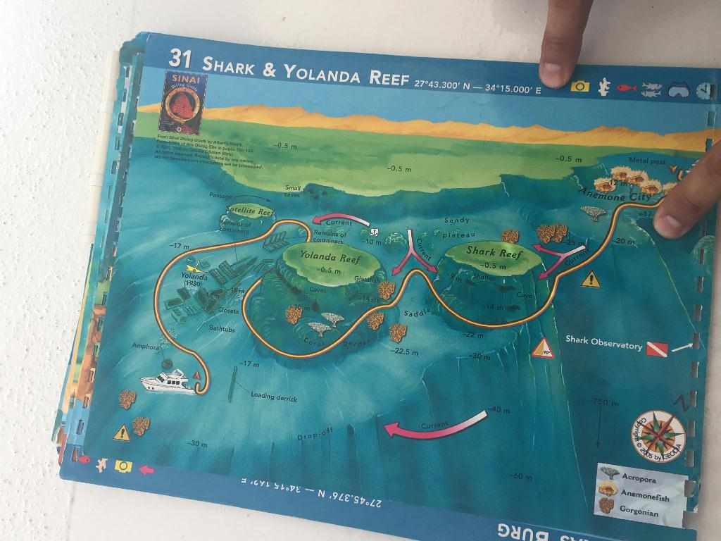 sharm el sheikh - shark &yolanda reef