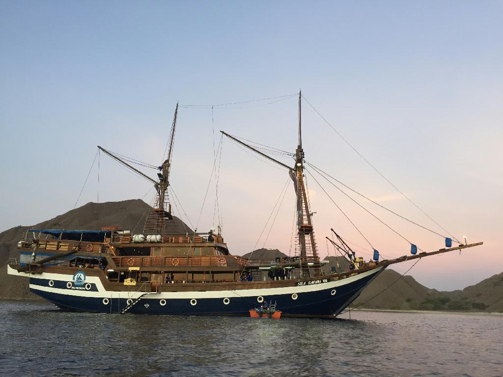 Fun diving - Komodo island - Castle rock