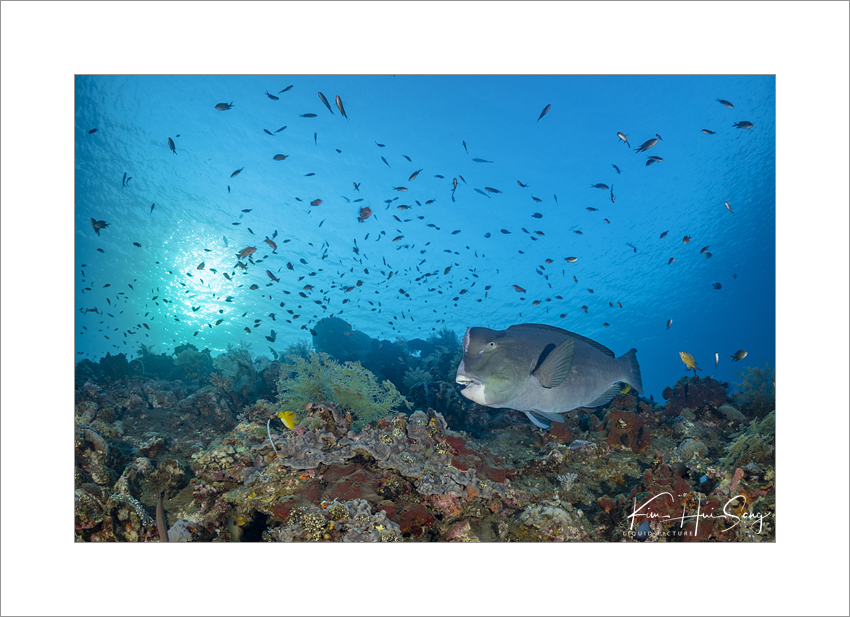 Tulamben, Indonesia - USAT Wreck