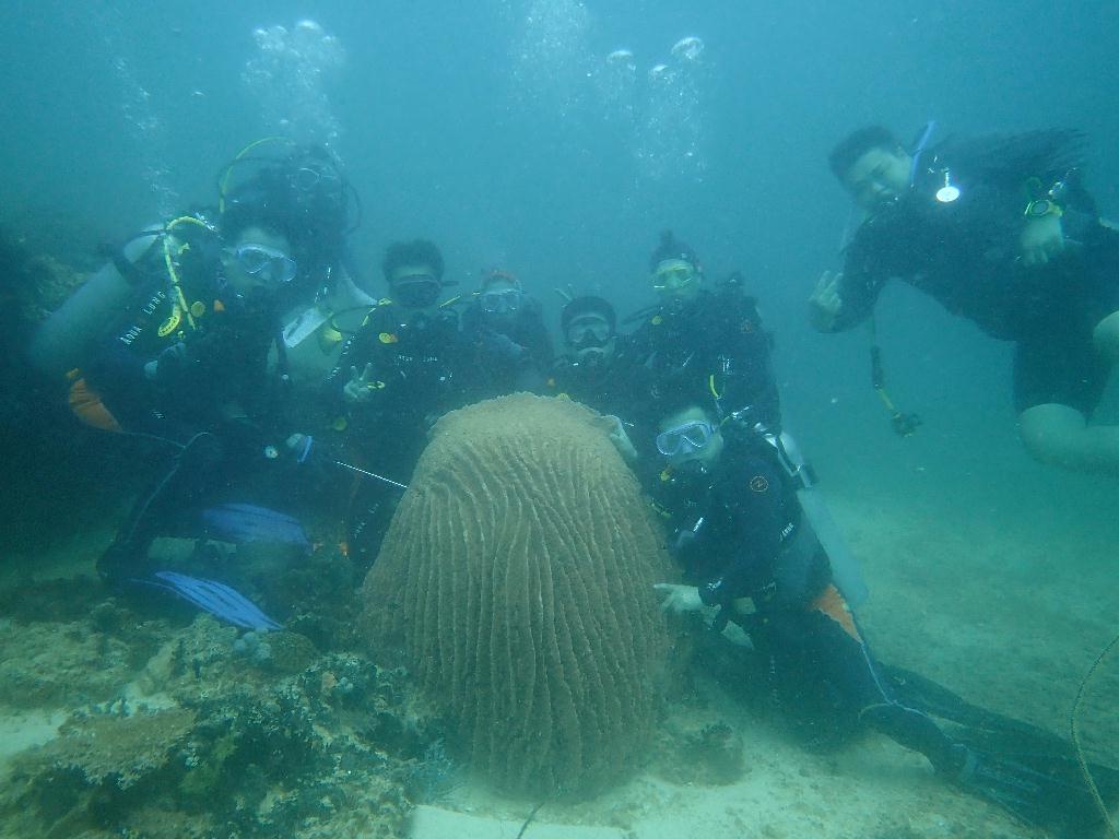 AD 드리프트 - 사방비치 - Killa Drift