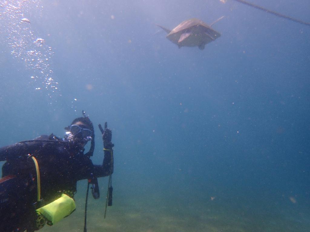 펀다이빙 - 사방비치