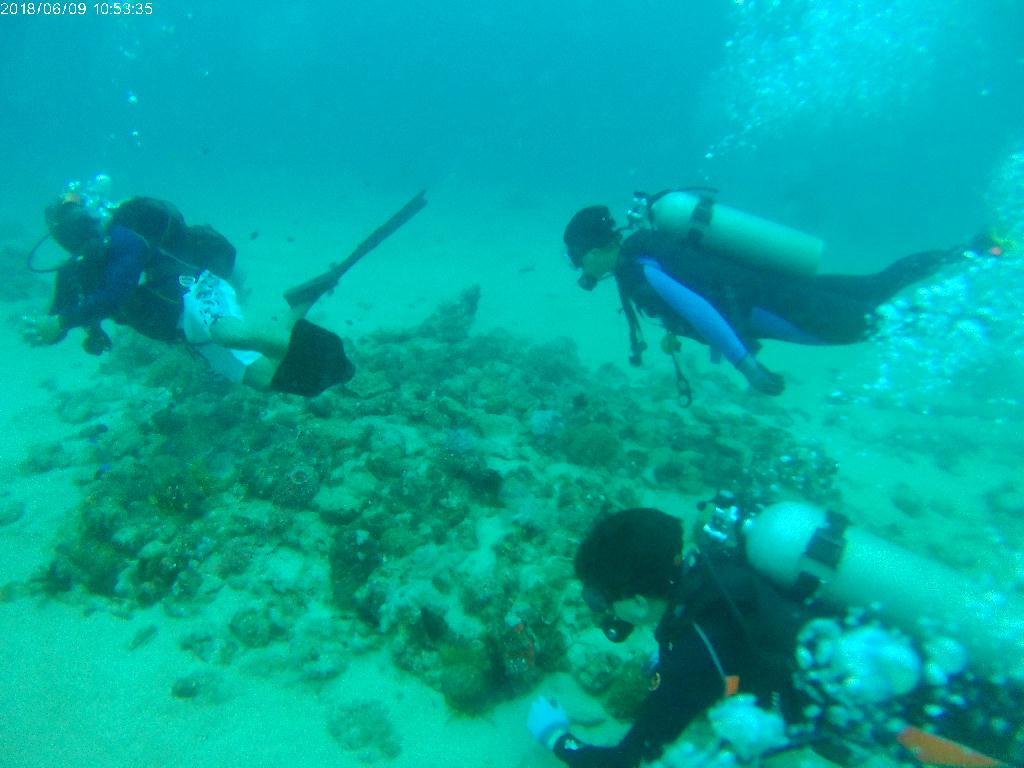 sabang - sabang wrecks