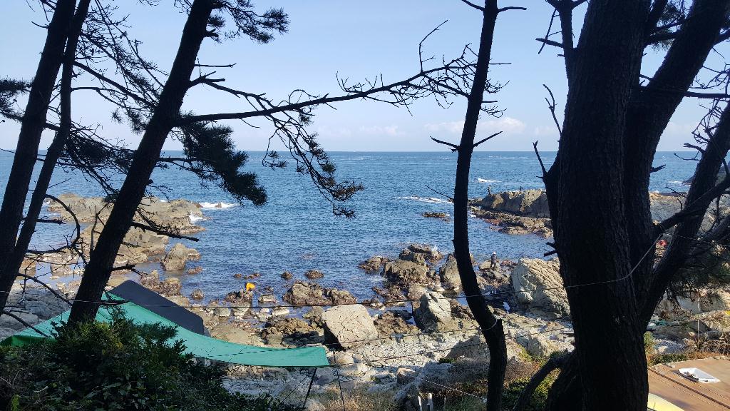 교육